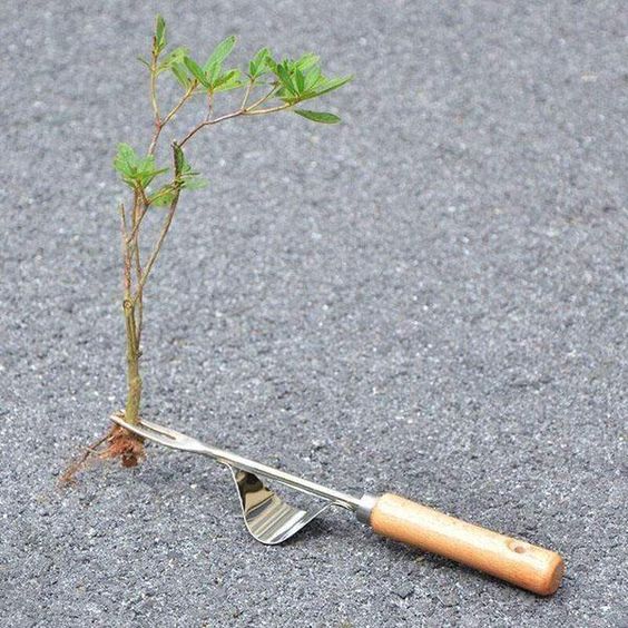 Hand weeder – Chwastownik ręczny slider