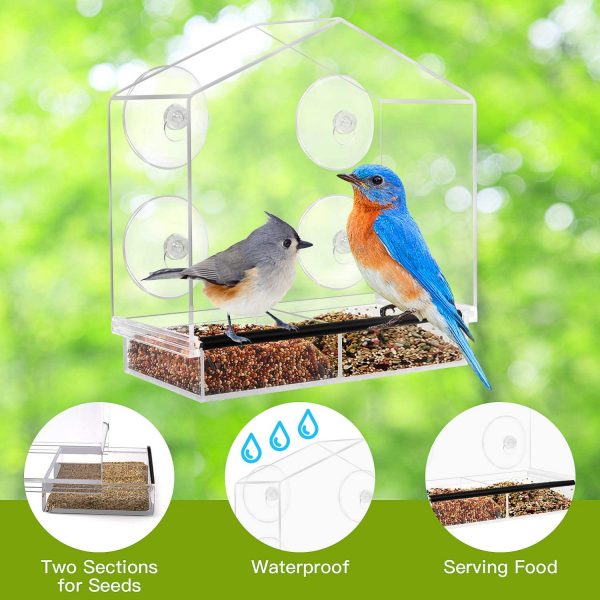 Birdbox – Przezroczysta budka dla ptaków