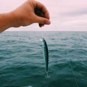 3D Fish Bait – Symulacja sztuczna przynęta (1+1 GRATIS) 03