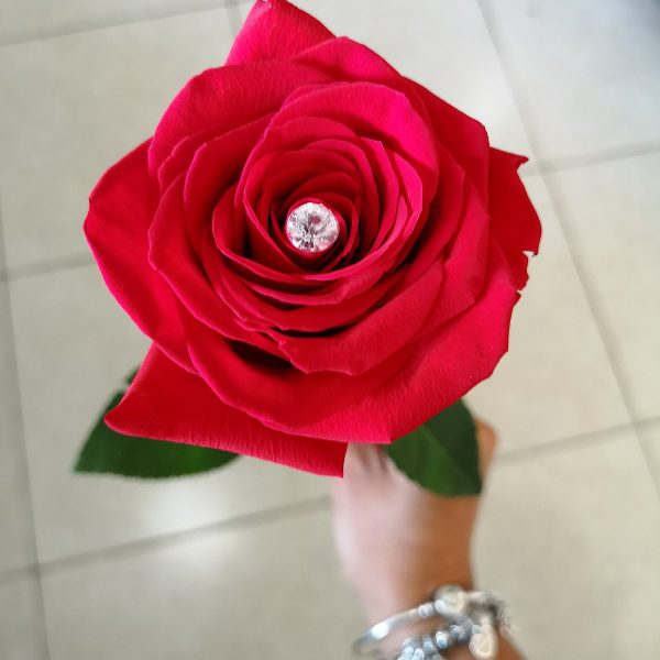 Rose Flower – Kwiat róży dla kobiet